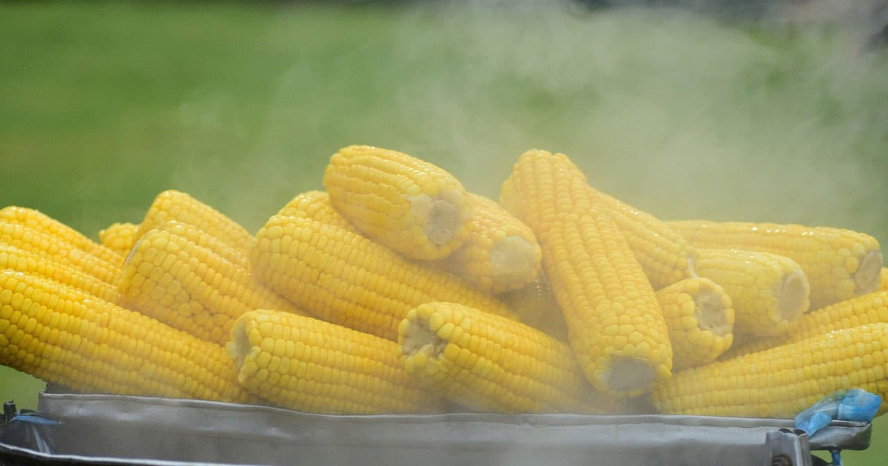 Avenue 795 Corn Roast